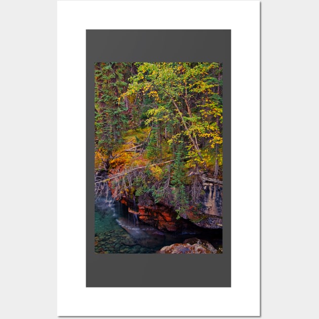 Canada. Canadian Rockies. Jasper NP. Maligne Canyon. Fall Colors. Wall Art by vadim19